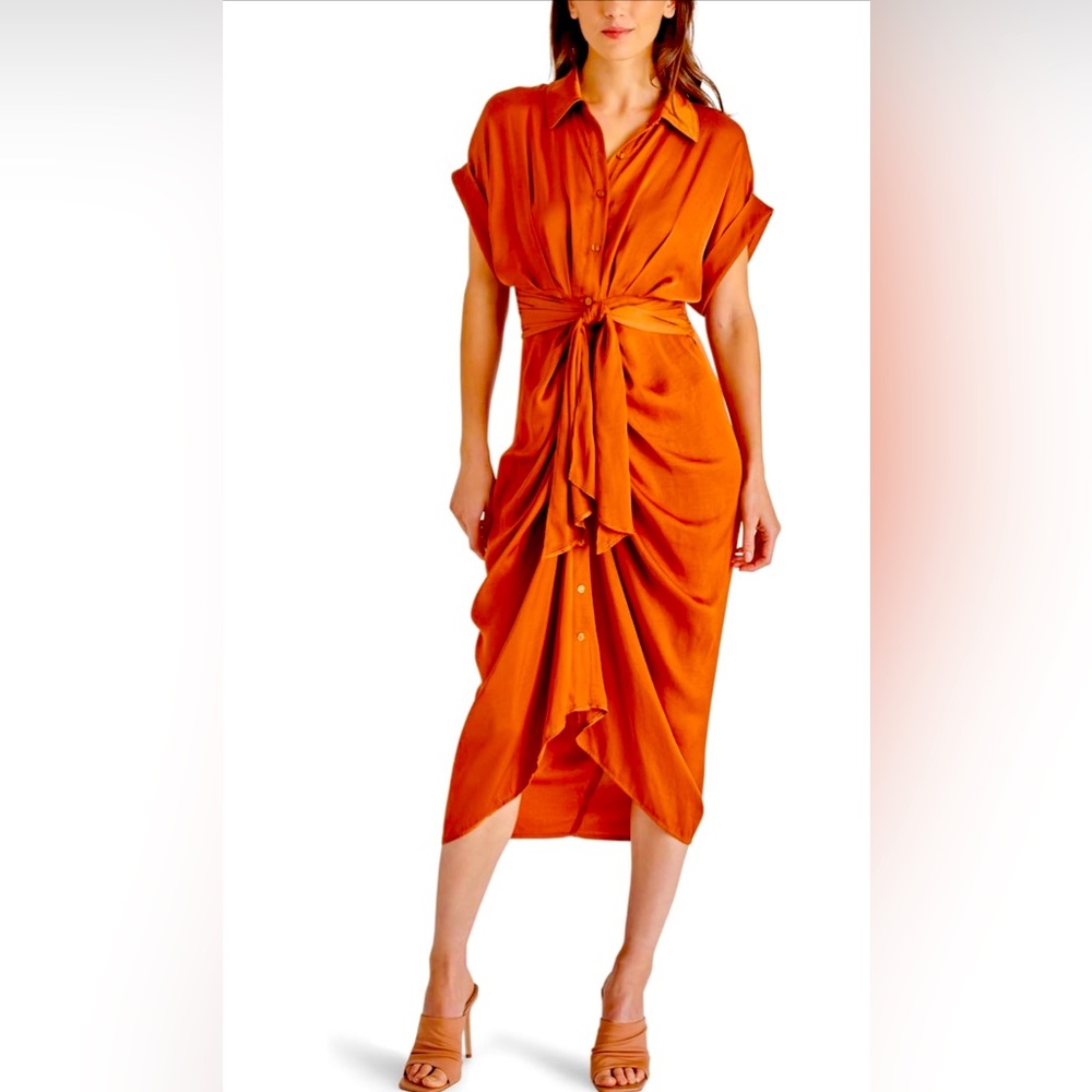 Pampelone short sleeve adjustable waist tie midi dress
